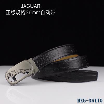 JAGUAR Belts-2